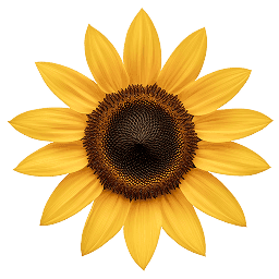 This is the logo of Sunflower site.