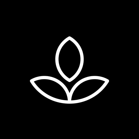 This is the logo of Emphasis app.