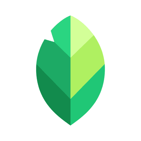 This is the logo of Snapseed app.